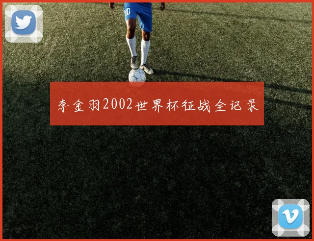 李金羽2002世界杯征战全记录