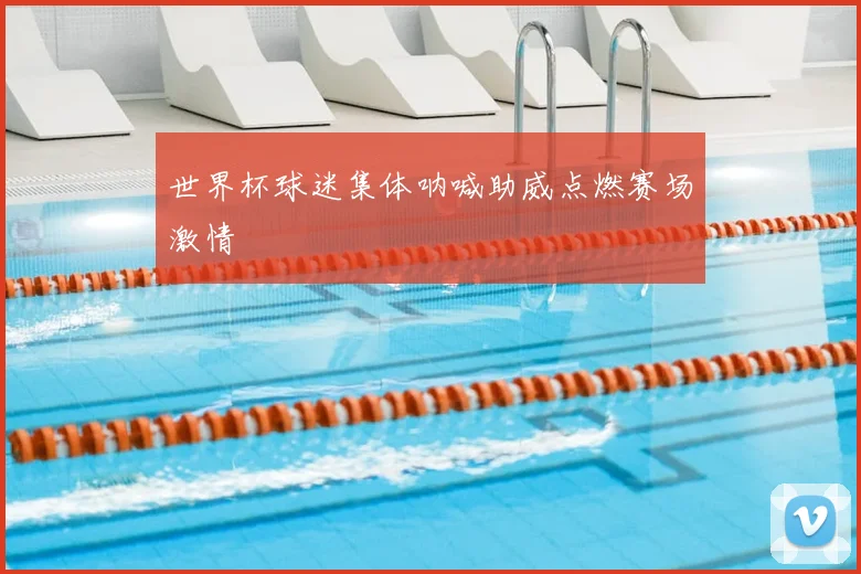 世界杯球迷集体呐喊助威点燃赛场激情