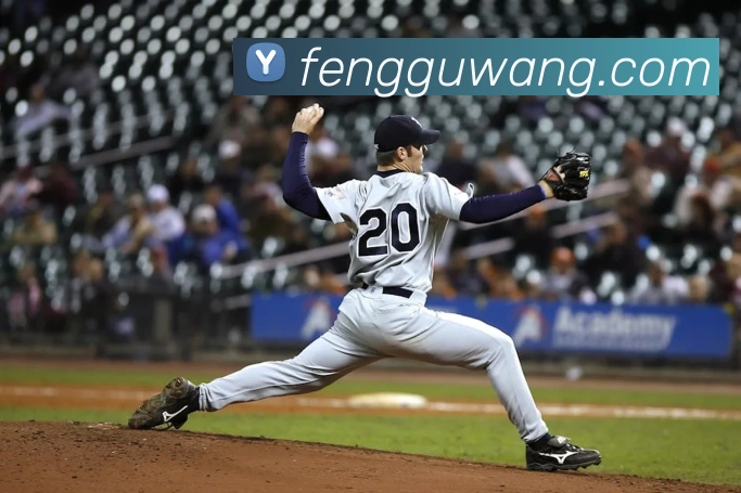 mksports登录入口APP 封面图